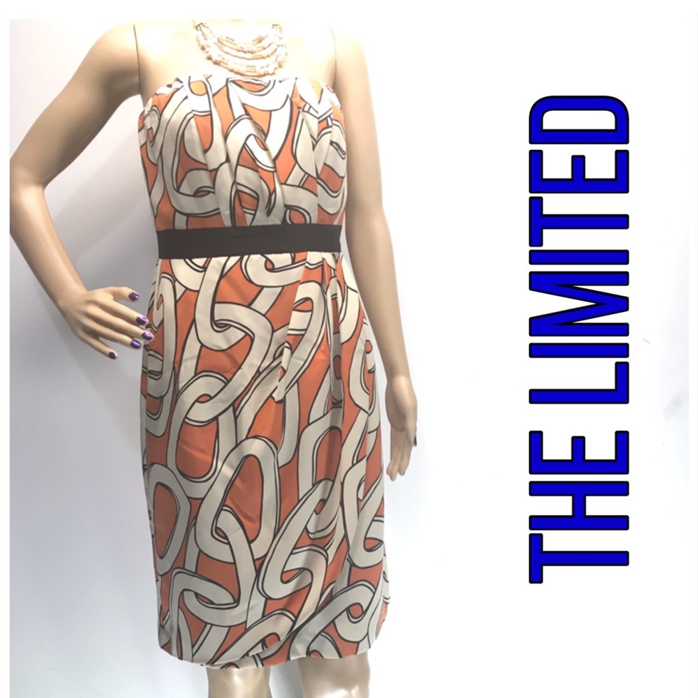 LIKE NEW Elegant Strapless Dress The Limited